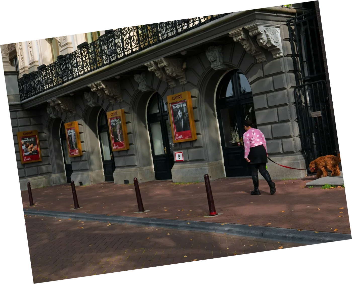 The same photo rotated eight degrees, its corners transparent.